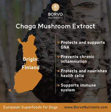 Cargar imagen en el visor de la galería, Finland-Grown Birch Tree Chaga Mushroom Extract for Dogs - Ultrasound Assisted for Enhanced Potency - Seaweed For Dogs