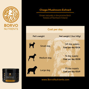 Borvo Nutrients Chaga Mushroom Extract, showing cost per day for small, medium, and large dogs based on a net weight of 1.5oz (40g).