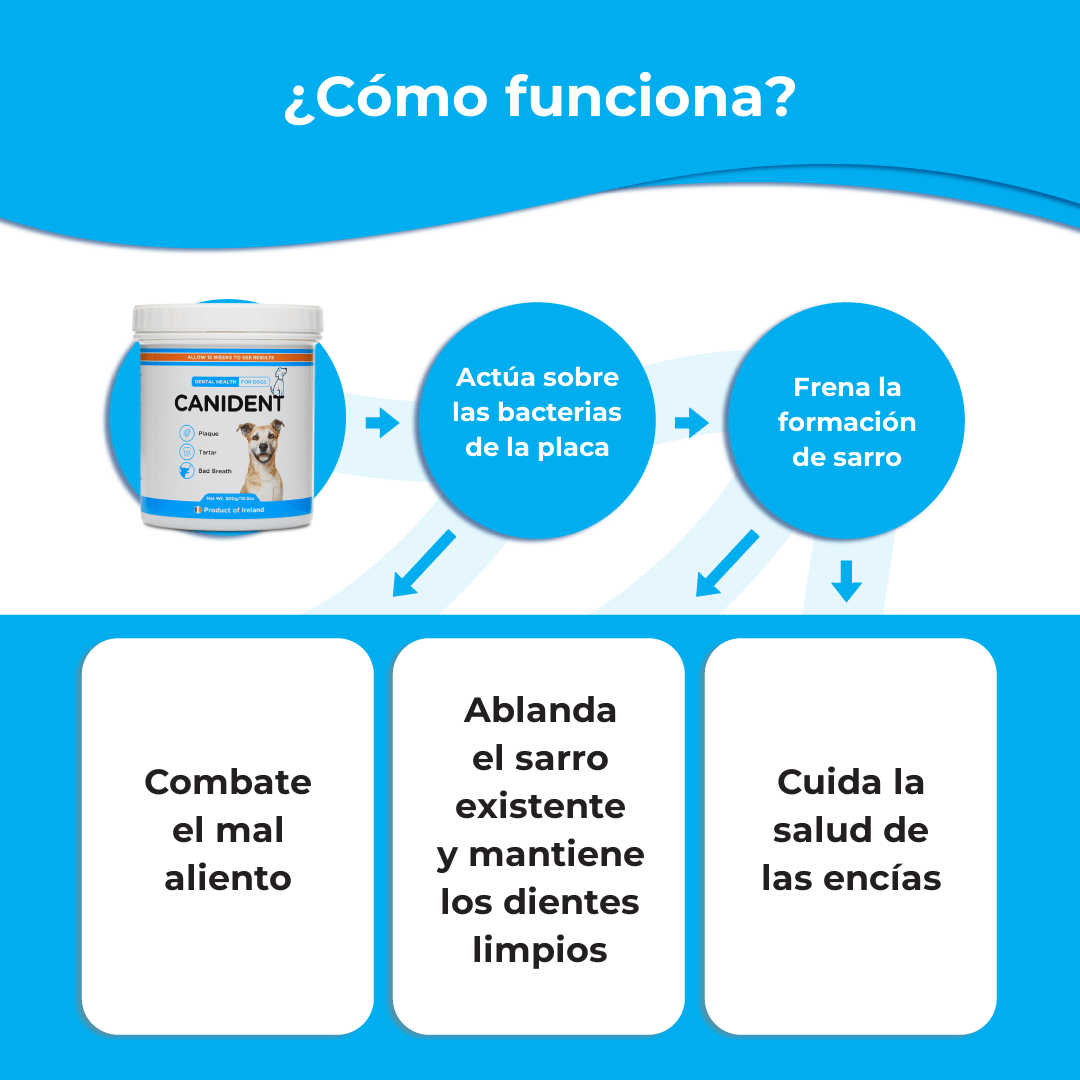 Canident (español): canident como funciona