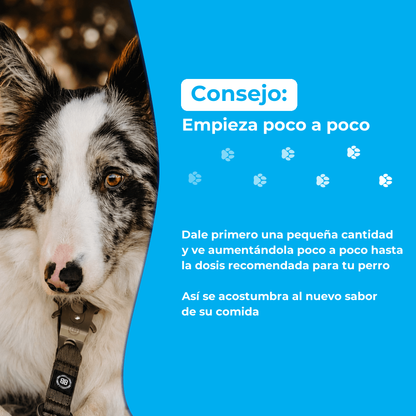 Canident Dog Dental Powder – Natural Seaweed Plaque Remover for Dogs - Seaweed For Dogs