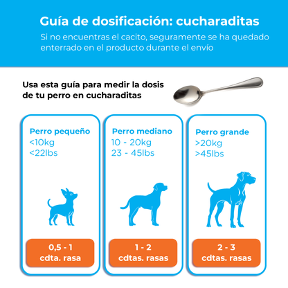 Canident teaspoon guide showing dosage by weight for small, medium, and large dogs using household spoons.