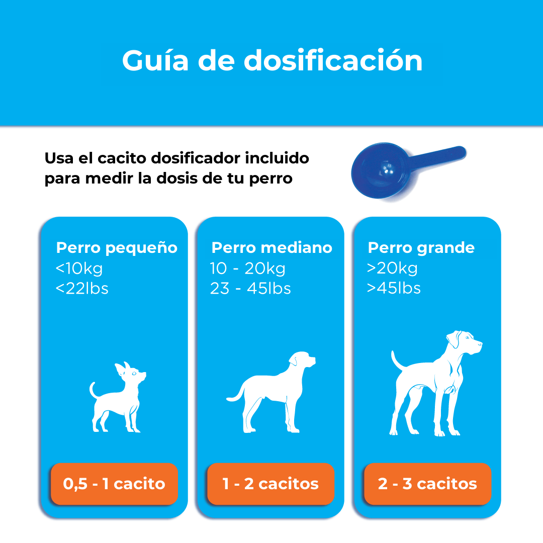 Canident (español): canident guia dosificacion cacito