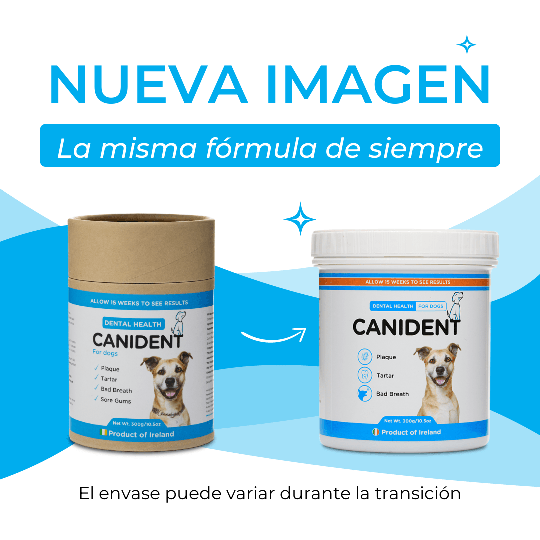 Canident Dog Dental Powder – Natural Seaweed Plaque Remover for Dogs - Seaweed For Dogs