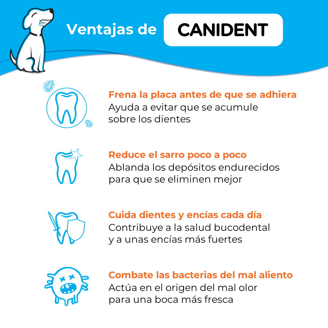 Infographic listing Canident’s benefits — stops plaque before it sticks, reduces tartar, strengthens teeth and gums, and neutralizes bad breath bacteria.