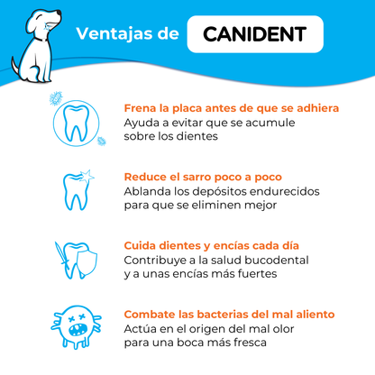Infographic listing Canident’s benefits — stops plaque before it sticks, reduces tartar, strengthens teeth and gums, and neutralizes bad breath bacteria.