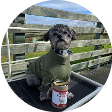 Digestive & Gut Health