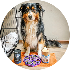 Joint & Mobility Support