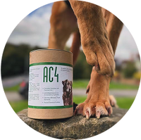 Senior Dog <br>  Health & <br>  Longevity