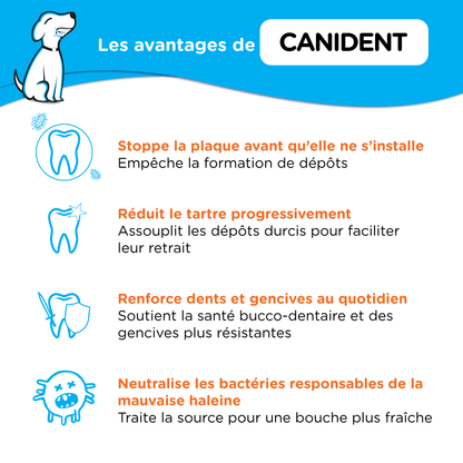 canident avantages