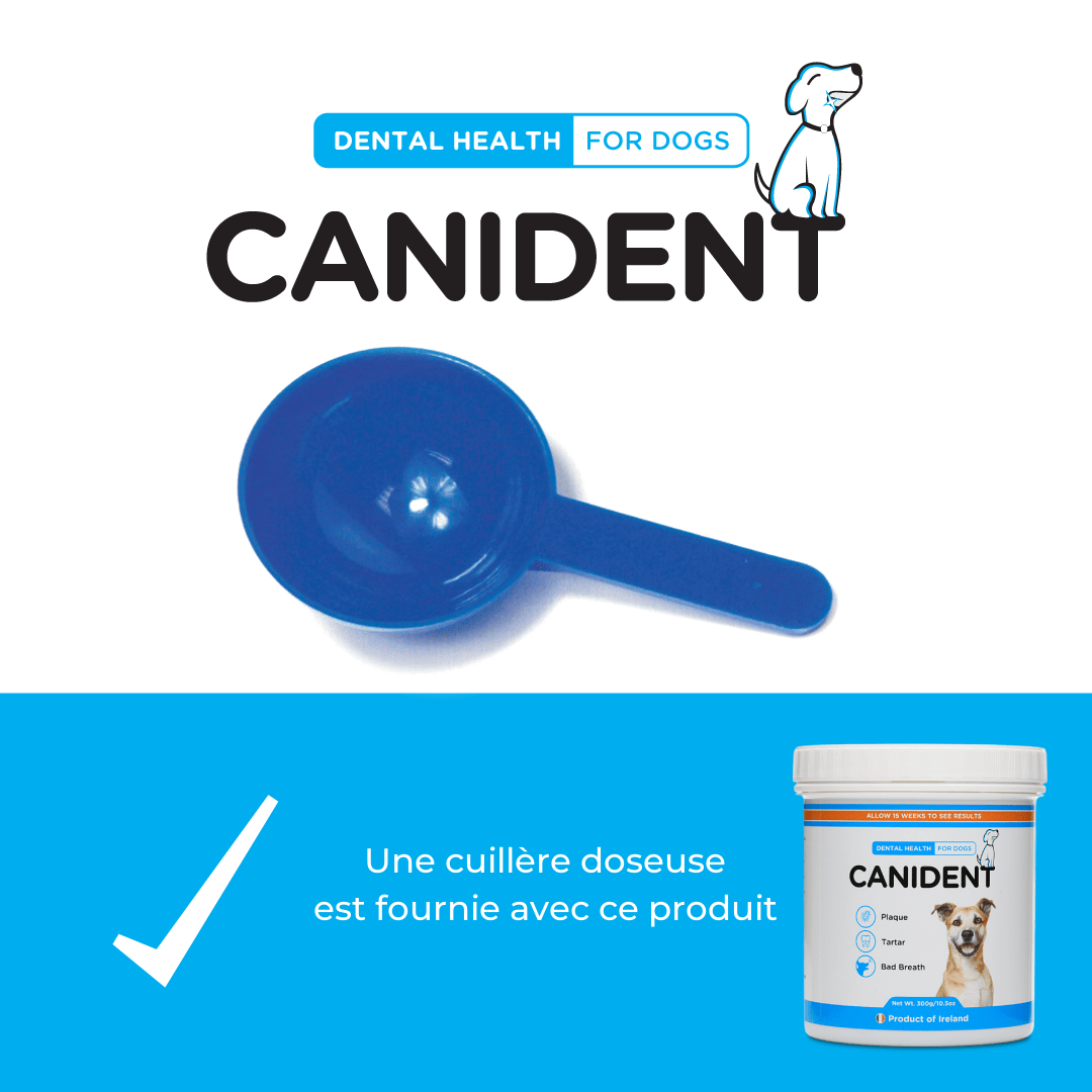 Canident, poudre dentaire anti-tartre aux algues pour chien – Seaweed For Dogs