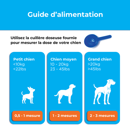Guide de dosage Canident : nombre de mesures recommandé selon la taille du chien, avec la cuillère doseuse bleue fournie.