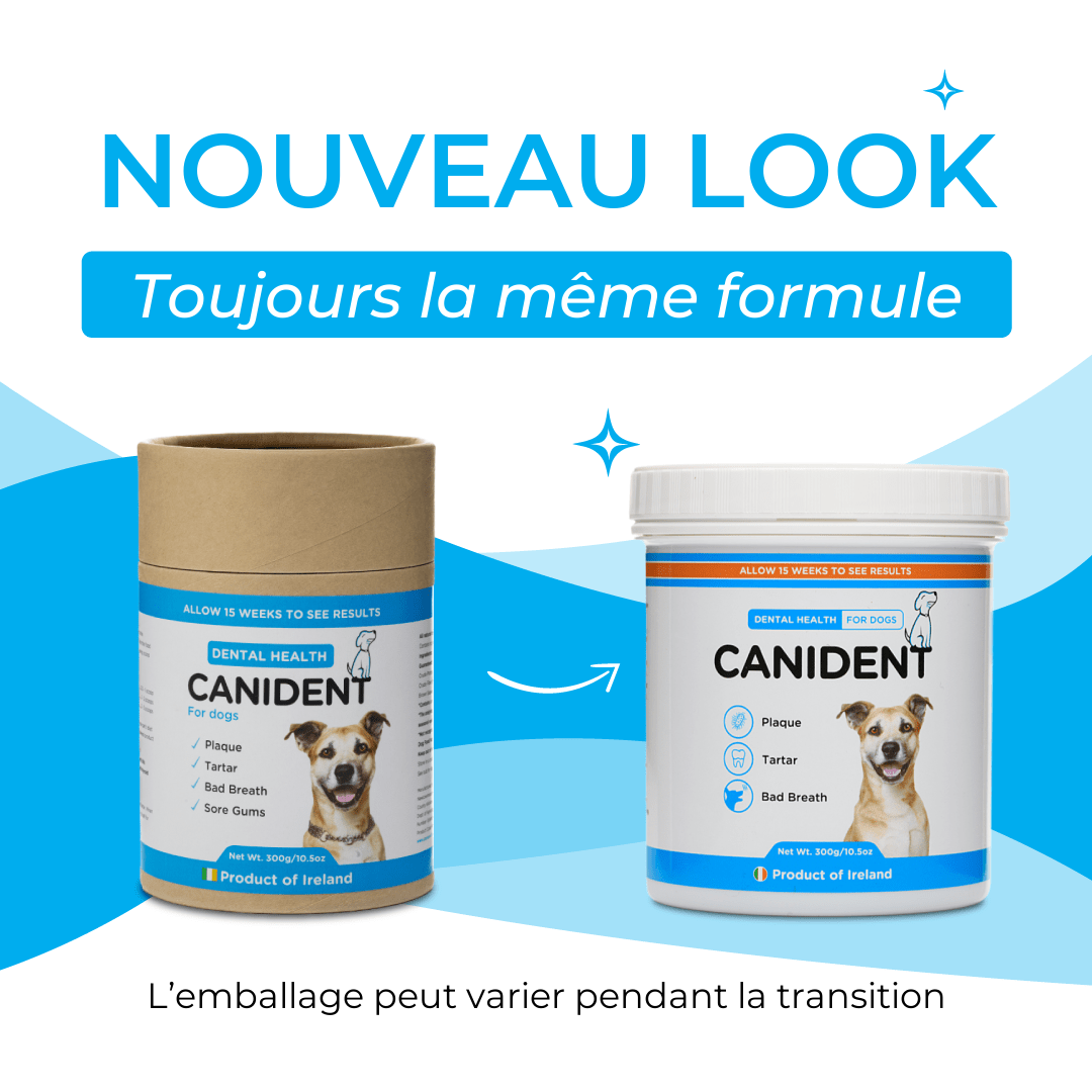 Canident, poudre dentaire anti-tartre aux algues pour chien – Seaweed For Dogs