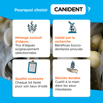 pourquoi choisir canident