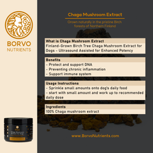 Load image into Gallery viewer, Borvo Nutrients Chaga Mushroom Extract, explaining what it is, its benefits, usage instructions, and ingredients.