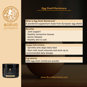 Borvo Nutrients Egg Shell Membrane, describing what it is, its benefits, usage instructions, and ingredients.