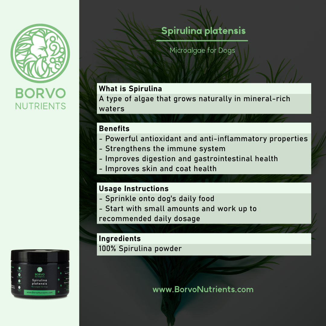 Benefits and usage instructions for Borvo Nutrients Spirulina for dogs.