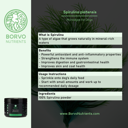 Benefits and usage instructions for Borvo Nutrients Spirulina for dogs.