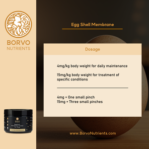 Borvo Nutrients Egg Shell Membrane dosage instructions for daily maintenance and treatment of specific conditions, with measurement conversions.