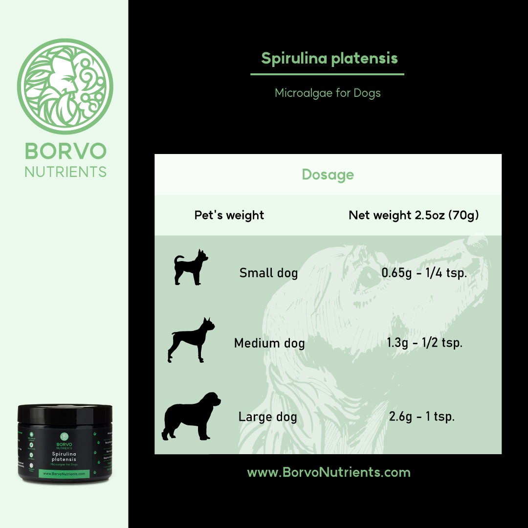 Dosage instructions for Borvo Nutrients Spirulina, for small medium and large dogs.