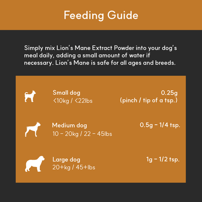Feeding guide for Lion’s Mane Mushroom Extract Powder showing daily dosages: small dogs 0.25g, medium 0.5g, large 1g.