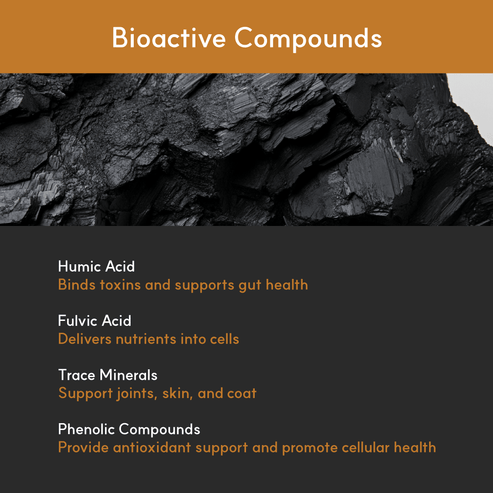 Humic Acid for Dogs - Natural Gut Health & Detox Support – Seaweed For Dogs