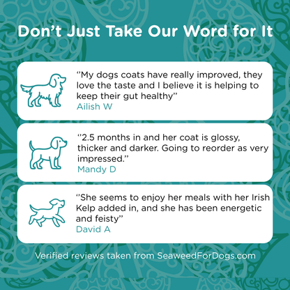 Irish Kelp for Pets | Blend of three Kelp for Dogs from Ireland - Seaweed For Dogs
