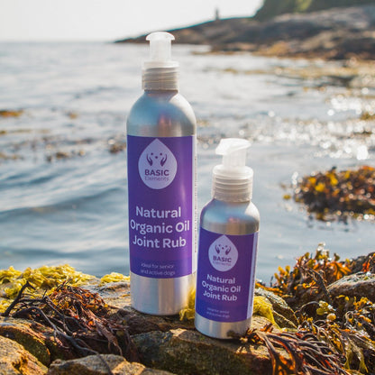 Two bottles of Basic Elements Joint Rub, one large and one small, on a rocky shore with seaweed and ocean background.