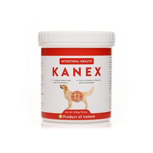 Kanex | Maintain Intestinal Hygiene in Dogs