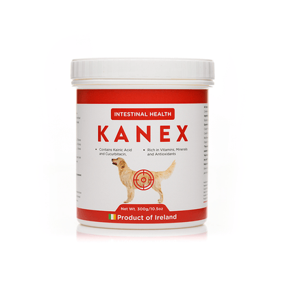 Kanex Intestinal Health product container for dogs on a white background