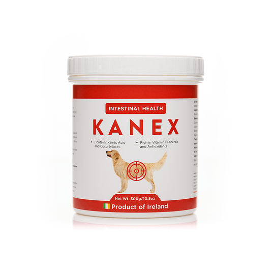 Kanex | Maintain Intestinal Hygiene in Dogs - Seaweed For Dogs