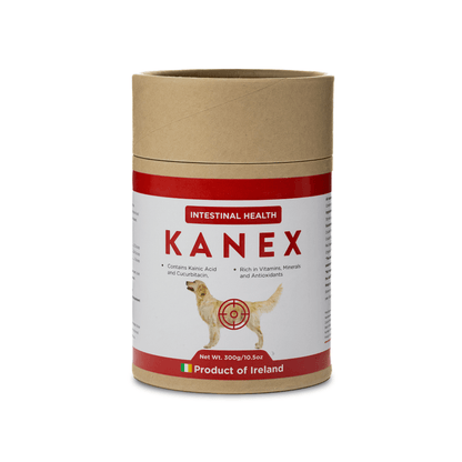 Kanex intestinal health supplement for dogs in a 300g cardboard tub. The red and white label highlights that it contains kainic acid and cucurbitacin, is rich in vitamins, minerals, and antioxidants, and is made in Ireland.