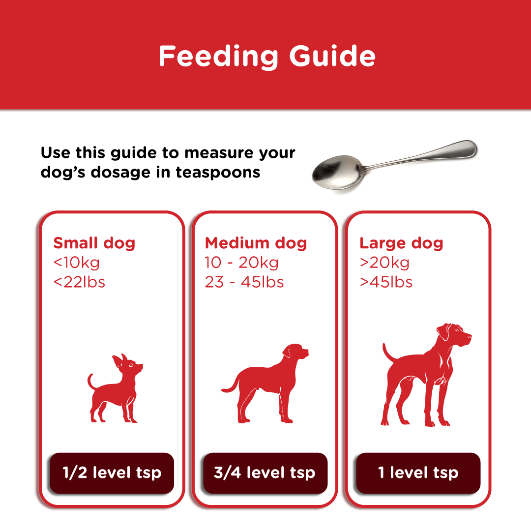 Alternative feeding guide for Kanex using household teaspoons — ½ teaspoon for small dogs under 10kg, ¾ teaspoon for medium dogs 10–20kg, and 1 teaspoon for large dogs over 20kg.