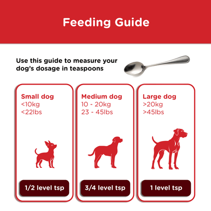 Alternative feeding guide for Kanex using household teaspoons — ½ teaspoon for small dogs under 10kg, ¾ teaspoon for medium dogs 10–20kg, and 1 teaspoon for large dogs over 20kg.