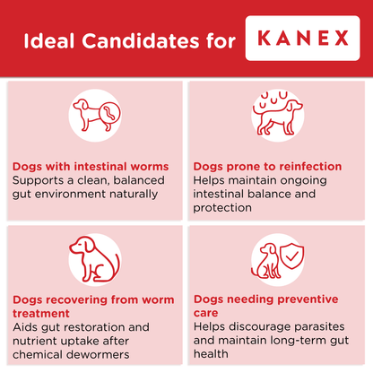 Recommended for dogs with intestinal worms, prone to reinfection, recovering from worm treatments, or needing preventive gut care.