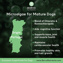 Load image into Gallery viewer, European Microalgae for Mature Dogs origins and features