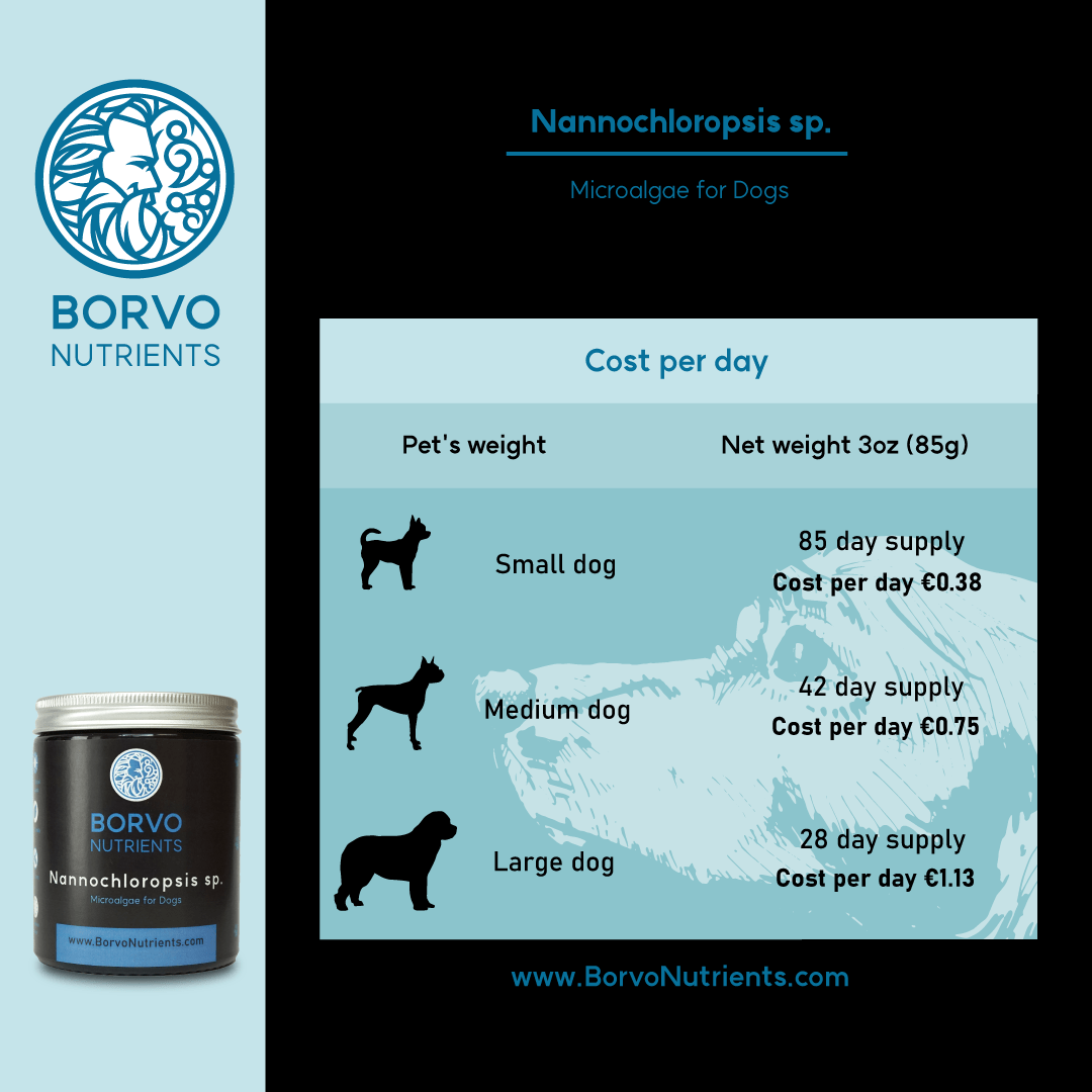 Borvo Nutrients Nannochloropsis sp. — daily cost and supply guide for small, medium, and large dogs