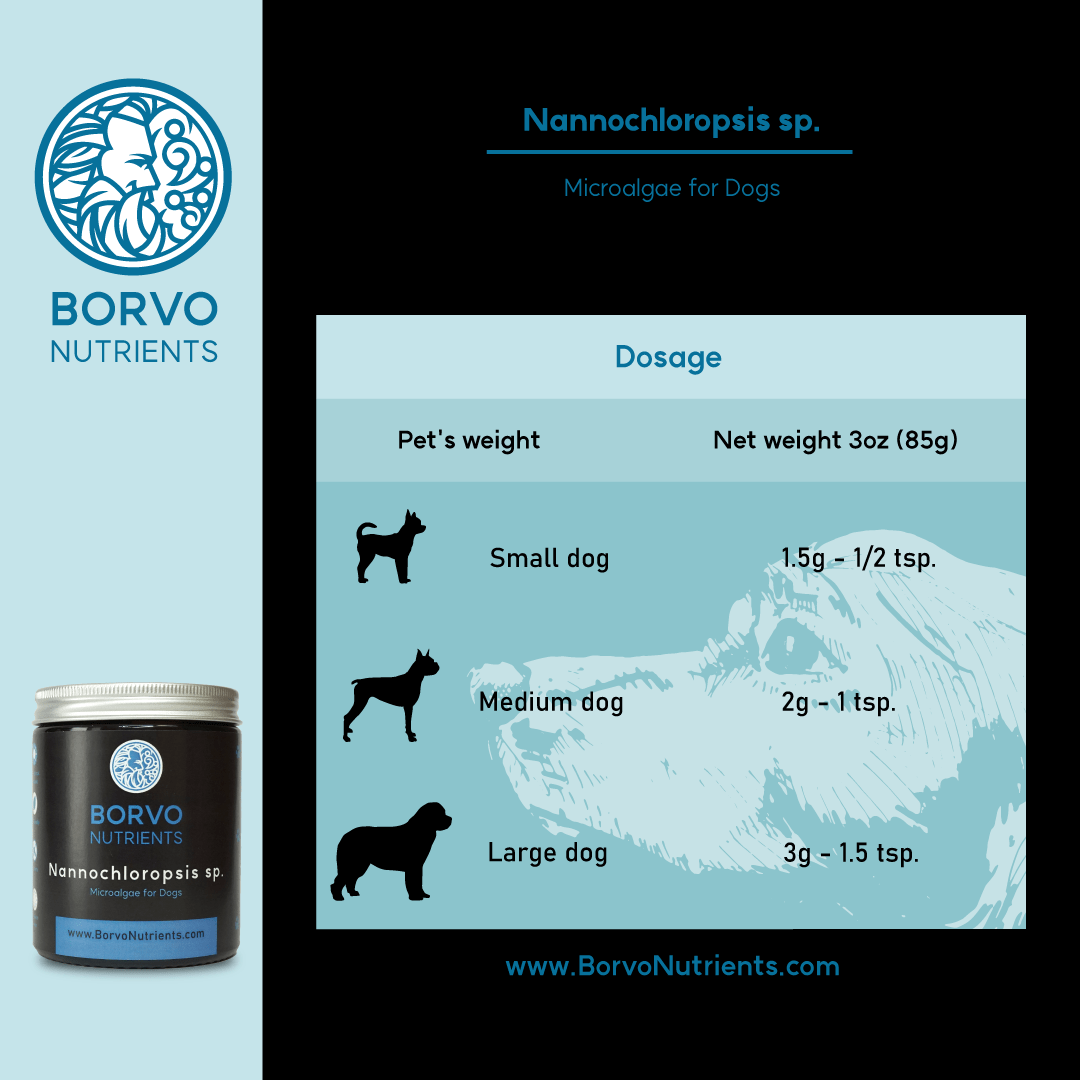 Borvo Nutrients Nannochloropsis sp. — dosage by body weight: small, medium, and large dogs