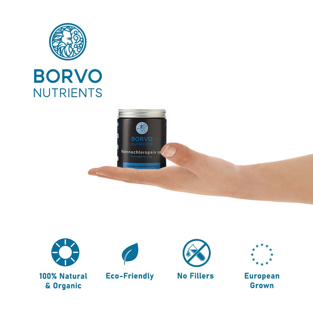 Borvo Nutrients Nannochloropsis sp. — compact eco-friendly glass jar, 100% natural, organic, and European grown