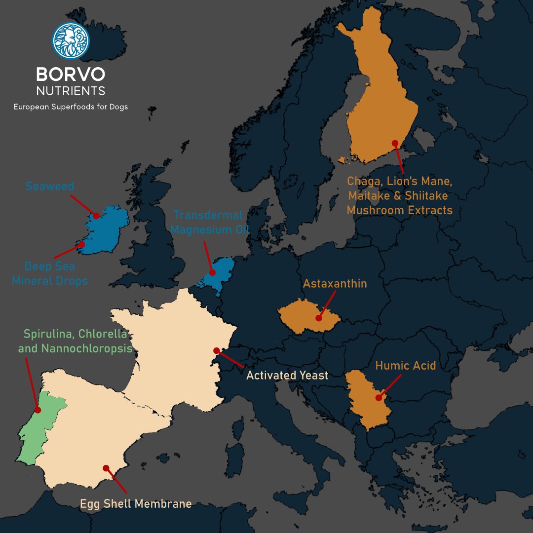 Borvo Nutrients Nannochloropsis sp. — European sourcing map showing natural superfood ingredient origins