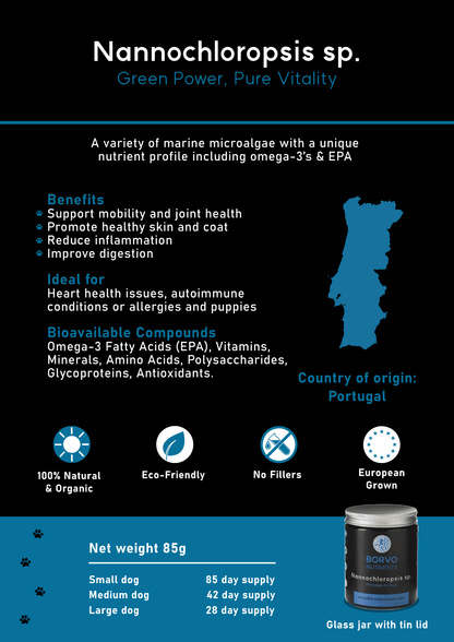 Borvo Nutrients Nannochloropsis sp. — rich in omega-3 (EPA), amino acids, and antioxidants for dogs’ vitality