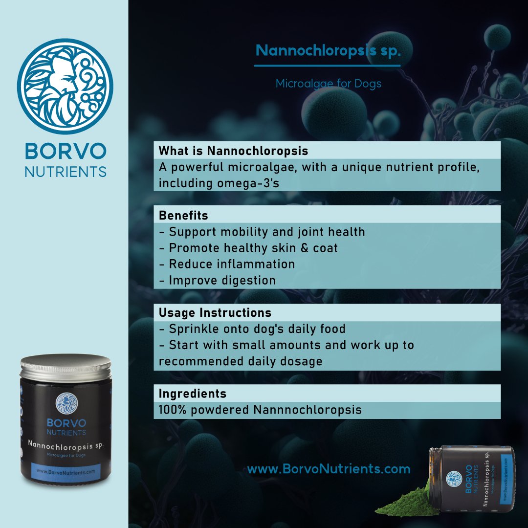 Borvo Nutrients Nannochloropsis sp. — supports mobility, skin and coat health, reduces inflammation, improves digestion