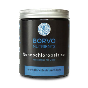 Nannochloropsis Microalgae for Dogs | Borvo Nutrients