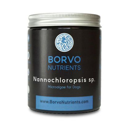Borvo Nutrients Nannochloropsis sp. — premium marine microalgae for dogs rich in omega-3s and antioxidants