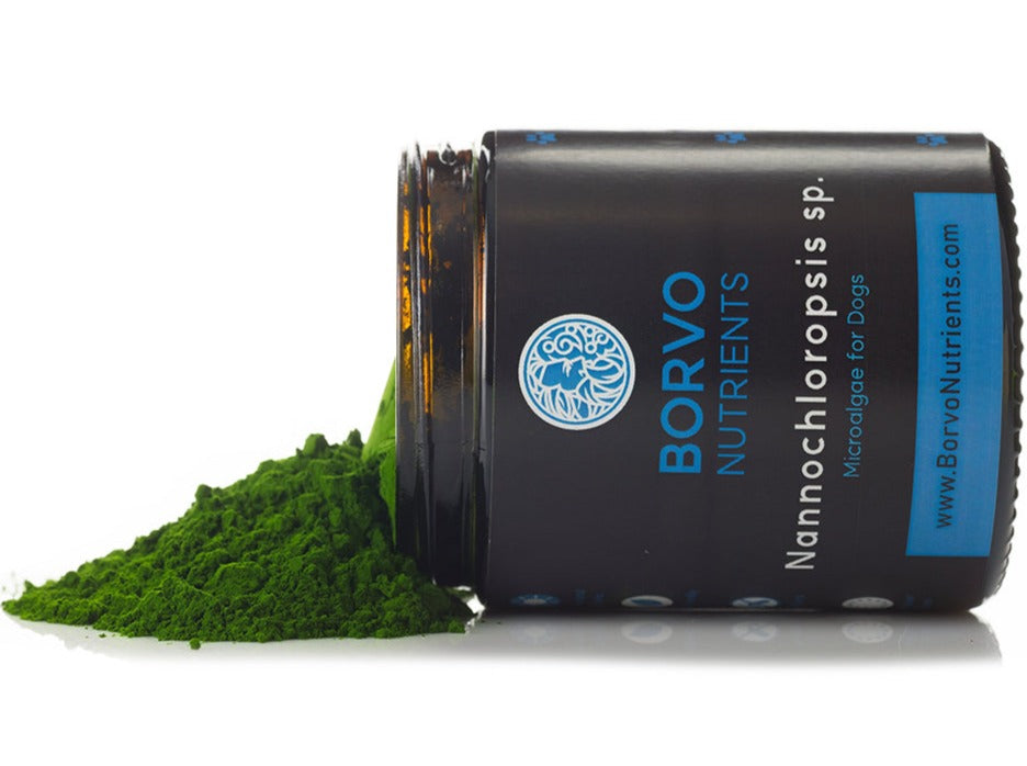 Borvo Nutrients Nannochloropsis sp. — natural microalgae powder supporting joint, heart, and skin health