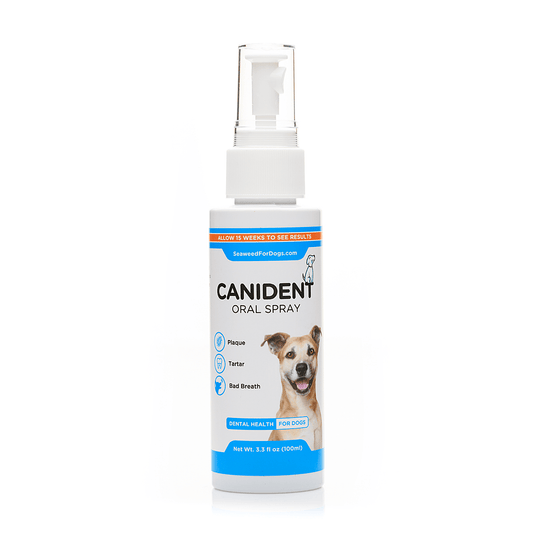 Canident Oral Spray | Dental Health For Dogs - Seaweed For Dogs