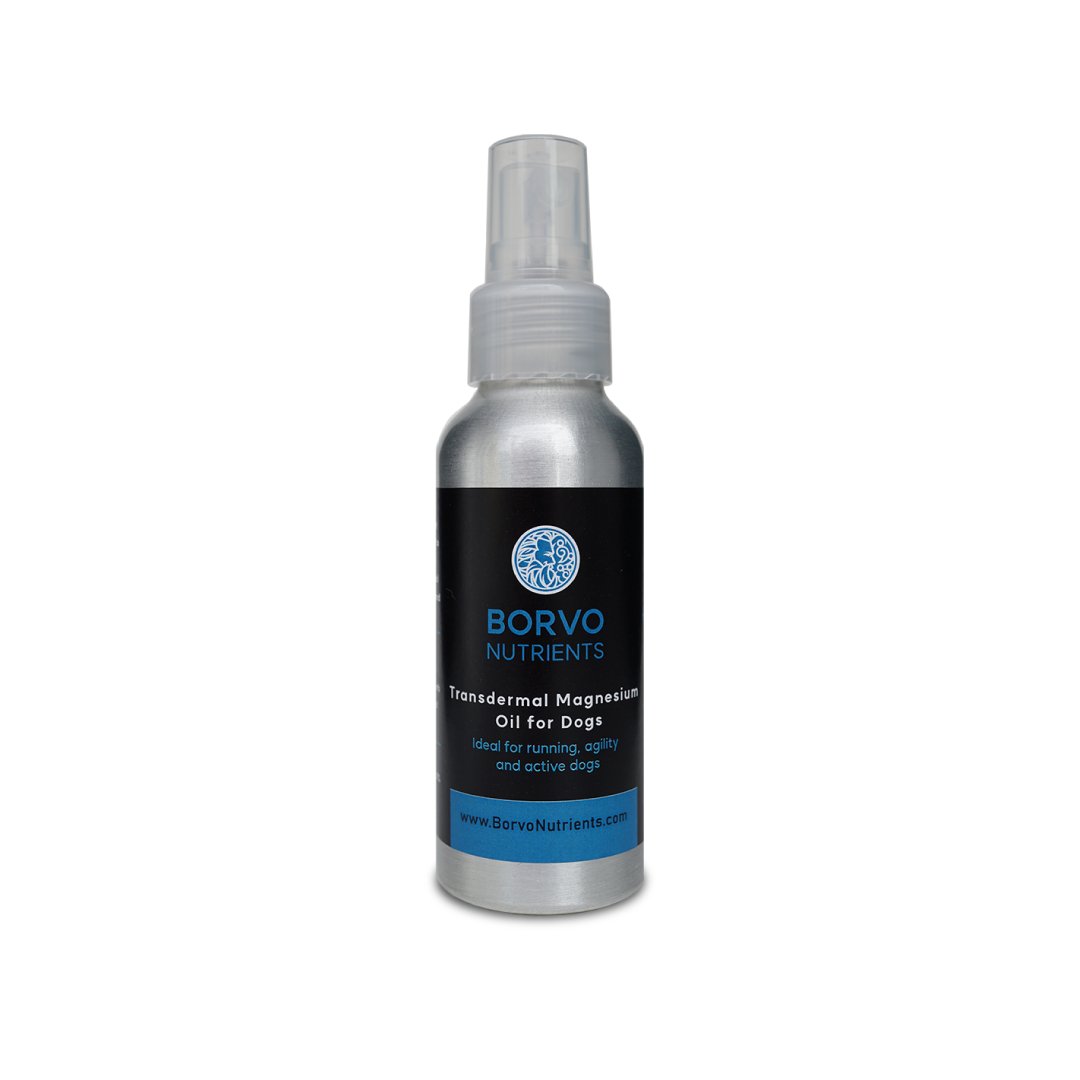 Borvo Nutrients Transdermal Magnesium Oil for Dogs in a silver aluminum spray bottle with a black and blue label reading “Ideal for running, agility and active dogs.”