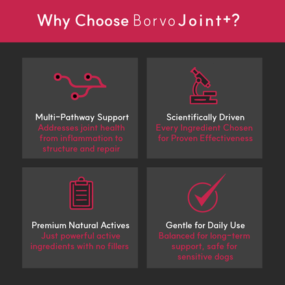 Infographic explaining why to choose BorvoJoint+ — multi-pathway joint support, scientifically formulated, natural actives, and safe for daily use.