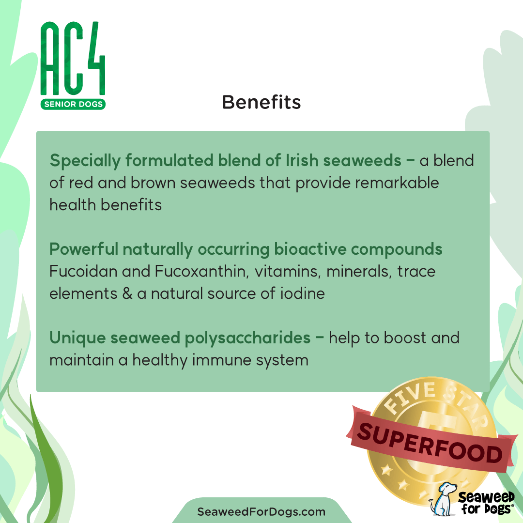AC4 | To Support Longevity and Wellness in Dogs - Seaweed For Dogs