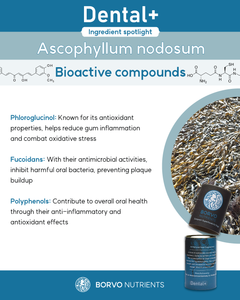 Dental+ Bioactive compounds - Ascophyllum nodosum