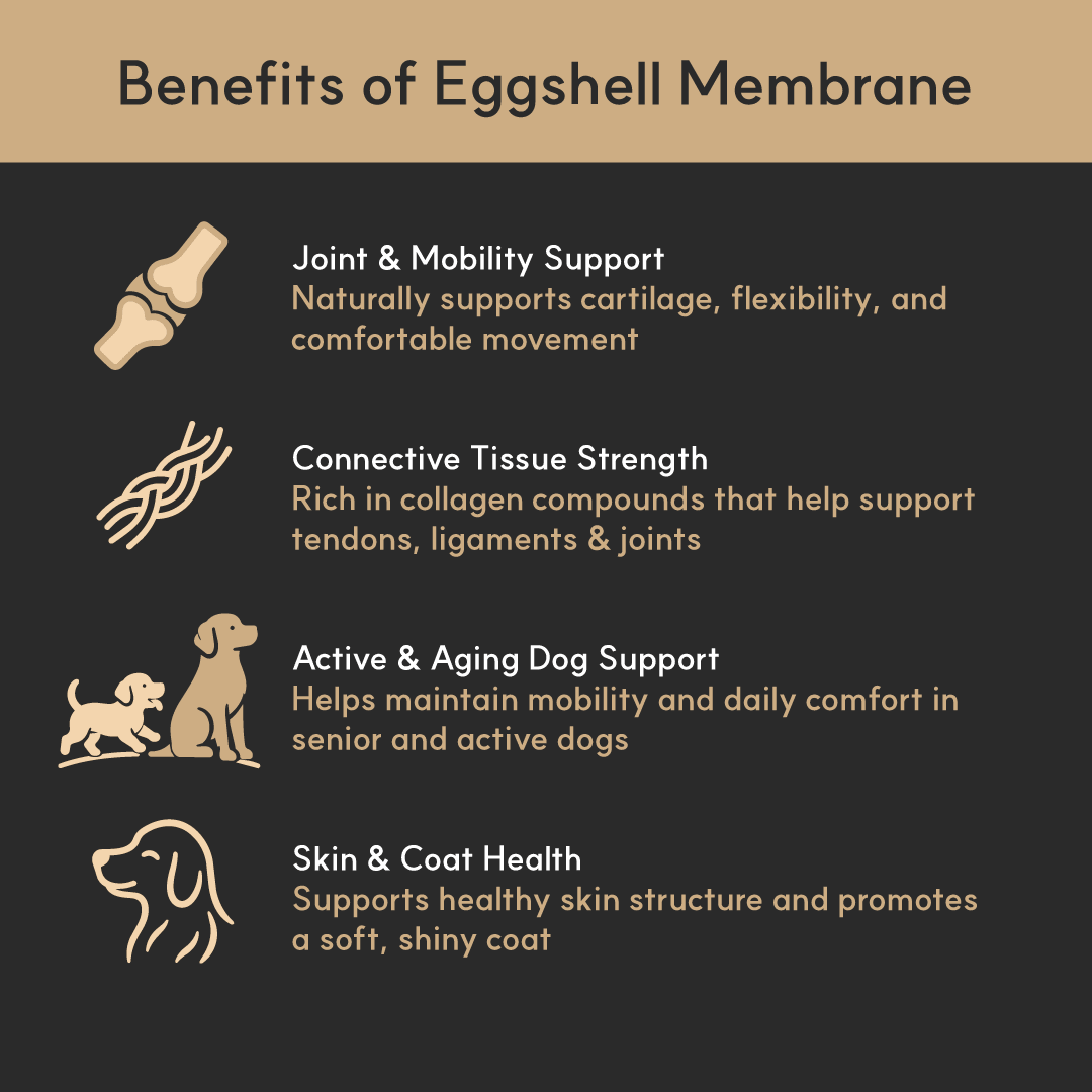 Benefits of eggshell membrane for dogs on a black background with icons.